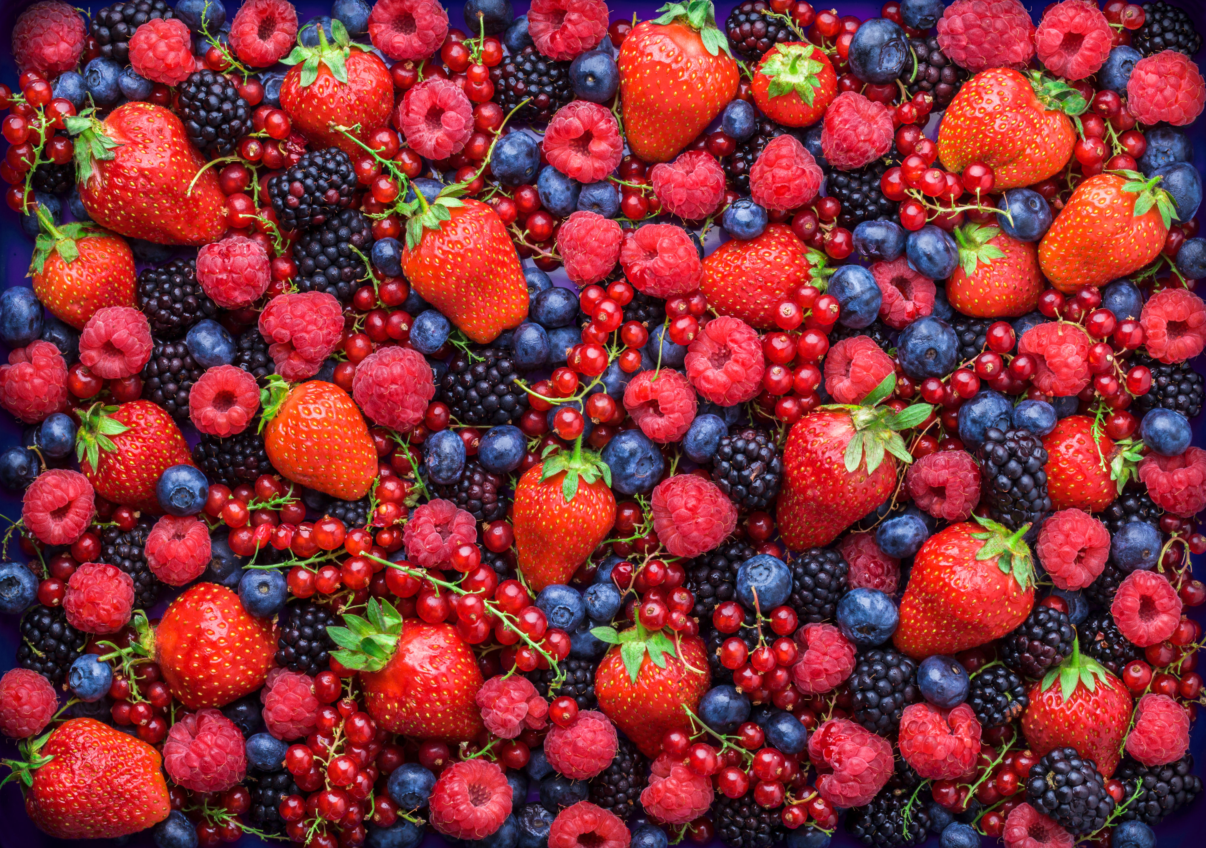 Fruits Fruits